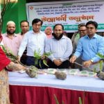রাজশাহীর পবায় বিনামূল্যে গাছের চাড়া বিতরণ 