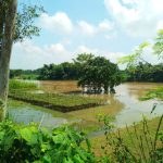 নওগাঁয় ছোট যমুনার পানি ক্রমশ বৃদ্ধি পাচ্ছে