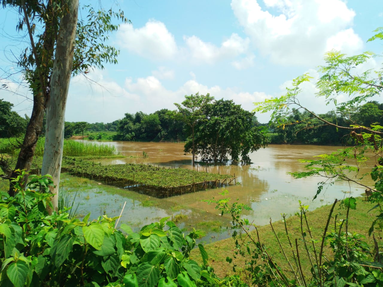 নওগাঁয় ছোট যমুনার পানি ক্রমশ বৃদ্ধি পাচ্ছে
