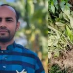 এনসিপি নেতার বেগুন খেত কাটল দুর্বৃত্তরা, লাখ টাকার ক্ষতি