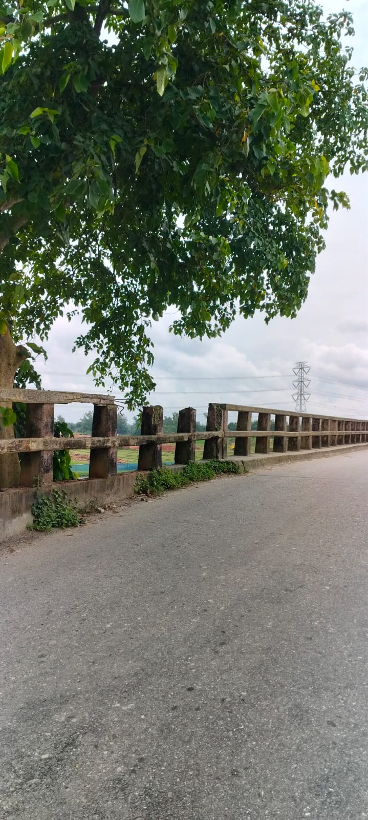 রড কেটে খেলো দুর্বৃত্তরা