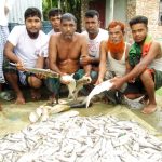 দুপচাঁচিয়ায় ইউপি সদস্যের পুকুরে বিষ প্রয়োগ \ ৩৫লাখ টাকা ক্ষতির দাবী