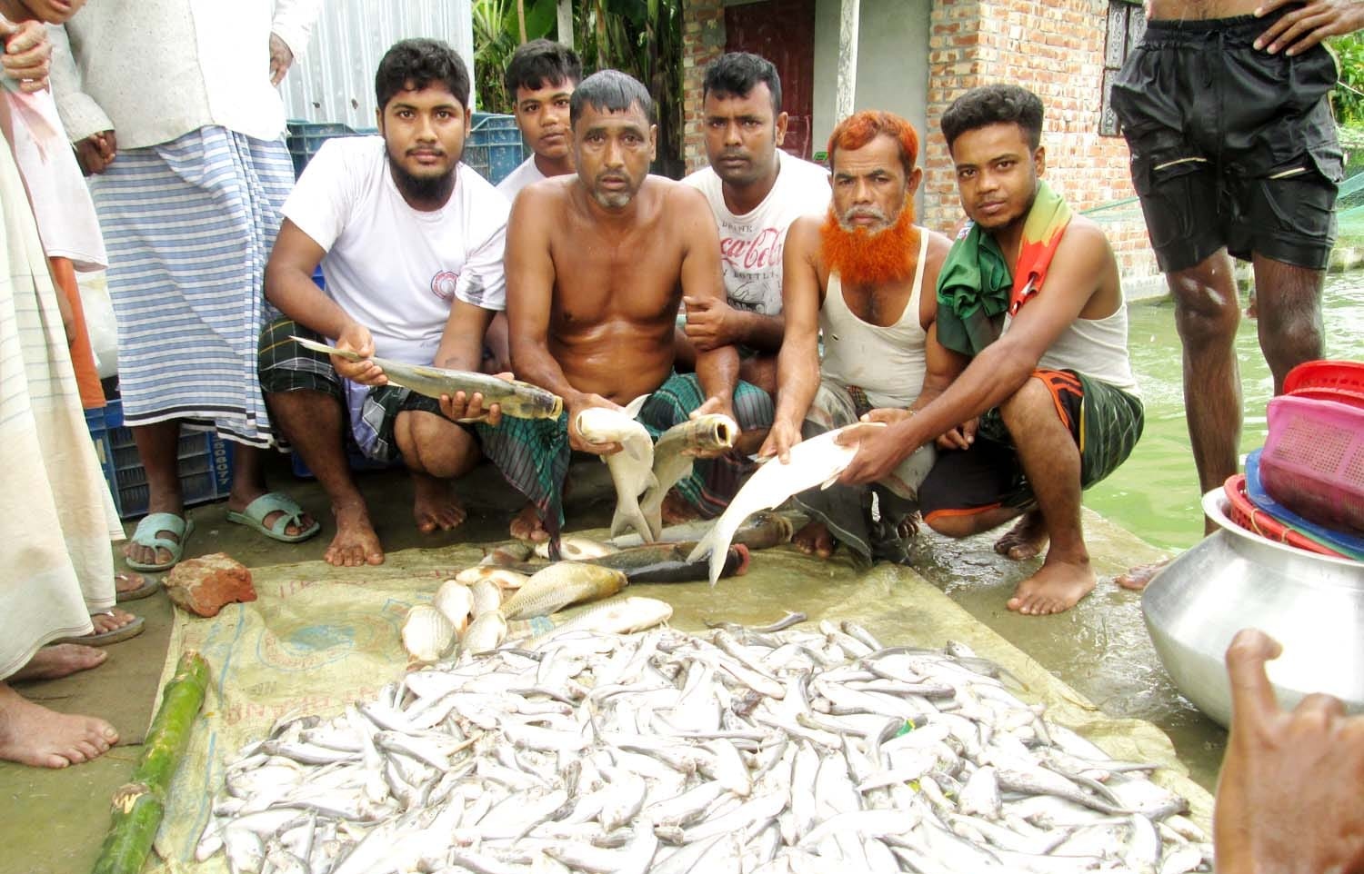 দুপচাঁচিয়ায় ইউপি সদস্যের পুকুরে বিষ প্রয়োগ \ ৩৫লাখ টাকা ক্ষতির দাবী