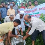 বড়াইগ্রামে জামায়াতের উদ্যোগে বিভিন্ন স্থানে মাছের পোনা অবমুক্ত