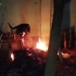 রাতের আঁধারে প্রতিমায় দুর্বৃত্তের আগুন