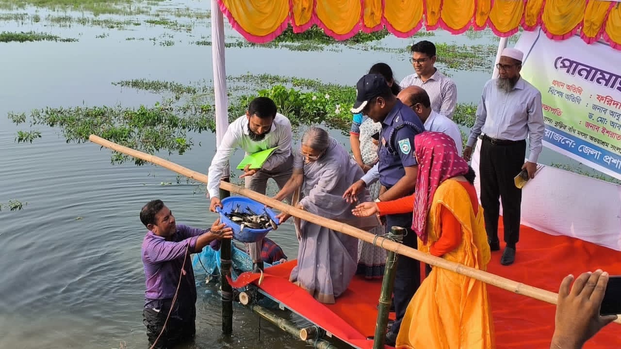 ঠাকুরগাঁওয়ে ভারতের আগে দেশের মানুষ ইলিশ খাবে