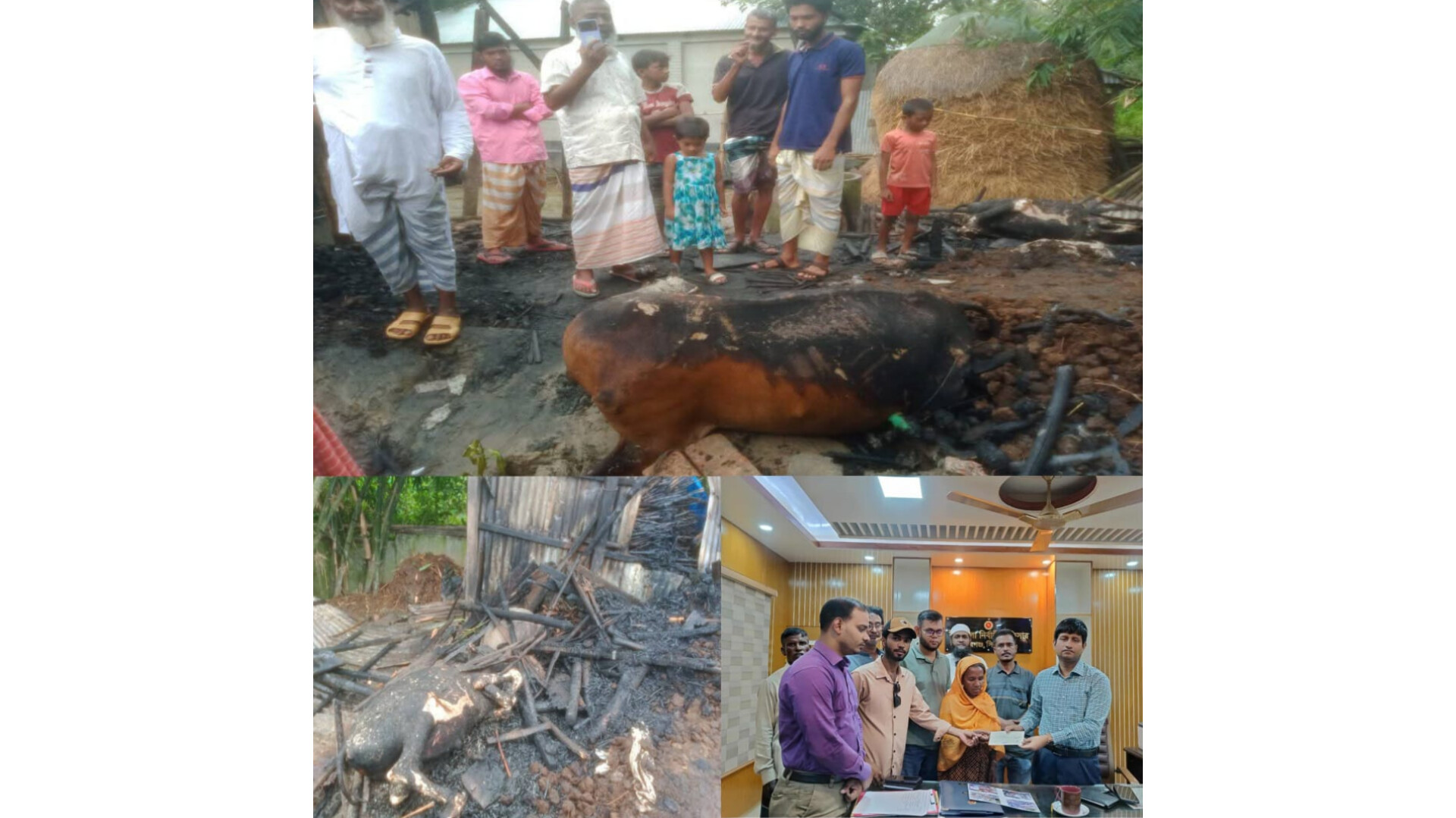 রায়গঞ্জে ভয়াবহ অগ্নিকাণ্ডে তিন গরু পুড়ে মৃত্যু, ক্ষতি প্রায় ২ লাখ টাকা