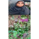 ধাপেরহাট ইউনিয়নে ঝোপের ভেতর থেকে মহিলার লাশ উদ্ধার