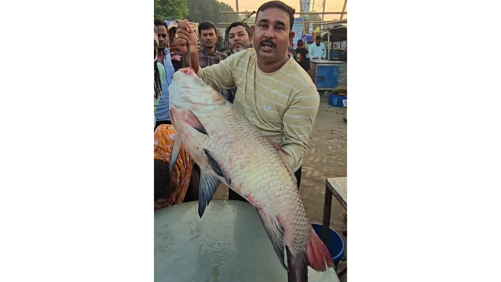 রাজবাড়ী দৌলত‌দিয়ায় এক কাত‌ল ৫৩ হাজার টাকায বি‌ক্রয়।*