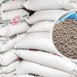 শেরপুরে ড্যাপ সার সংকট: ভুট্টা ও আলু চাষে চরম বিপর্যয়, কৃষকদের দুঃসময়