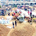 নওগাঁর কোলা হাটের হলুদ এখন পৌঁছে যাচ্ছে সারাদেশে