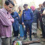 বগুড়ার শেরপুরে ডাব চুরি করতে গিয়ে গাছ থেকে পড়ে যুবকের মৃত্যু