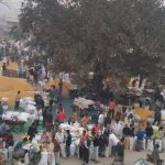 ঠাকুরগাঁও হরিপুর যাদুরাণী হাটে সরিষার বাজার প্রতি মন ২০০০–২৩০০ টাকা