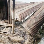 দুপচাঁচিয়ায় পুকুরে বিষ প্রয়োগ ও আগুন