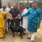 সলঙ্গায় অসহায় দম্পতি পেলেন ছাগল উপহার