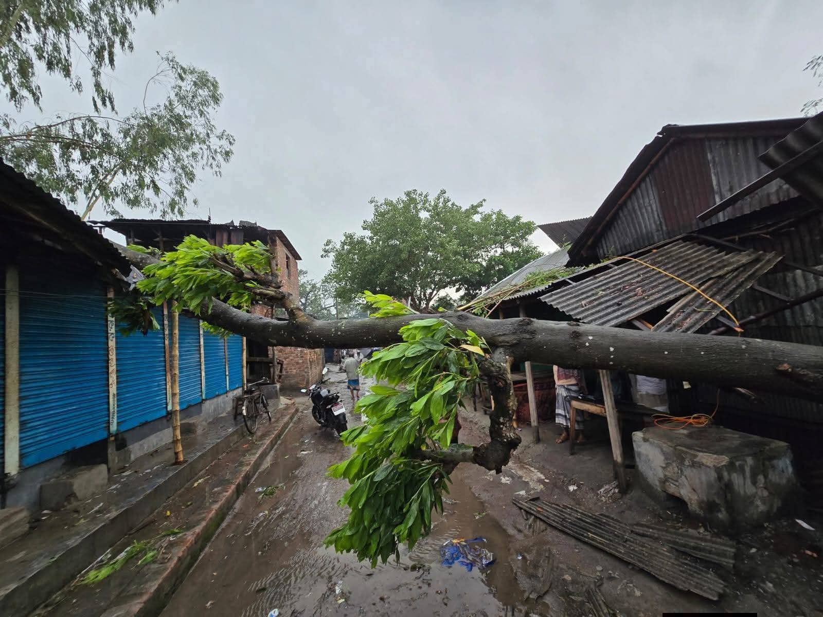 গাইবান্ধায় কাল বৈশাখীর তান্ডবে ব্যাপক ক্ষয়ক্ষতি