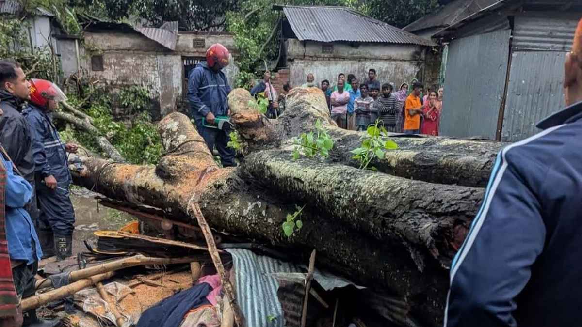 কালবৈশাখী ঝড়ে গাছ উপরে পড়ে উমা চন্দ্র নামের পান ব্যবসায়ী নিহত।