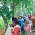 উল্লাপাড়ায় নবজাতকের মরদেহ উদ্ধার