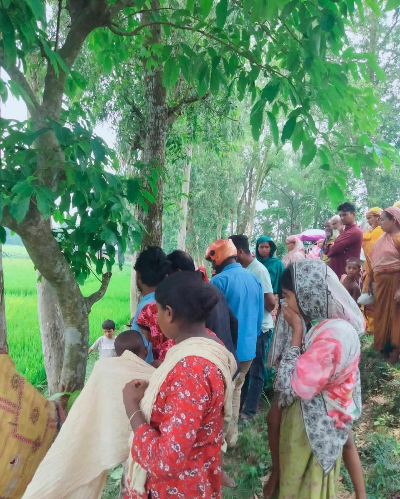 উল্লাপাড়ায় নবজাতকের মরদেহ উদ্ধার