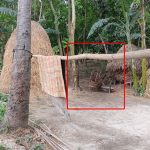 রায়গঞ্জে প্রভাবশালী কর্তৃক বিধবাকে উচ্ছেদের পায়তারার অভিযোগ