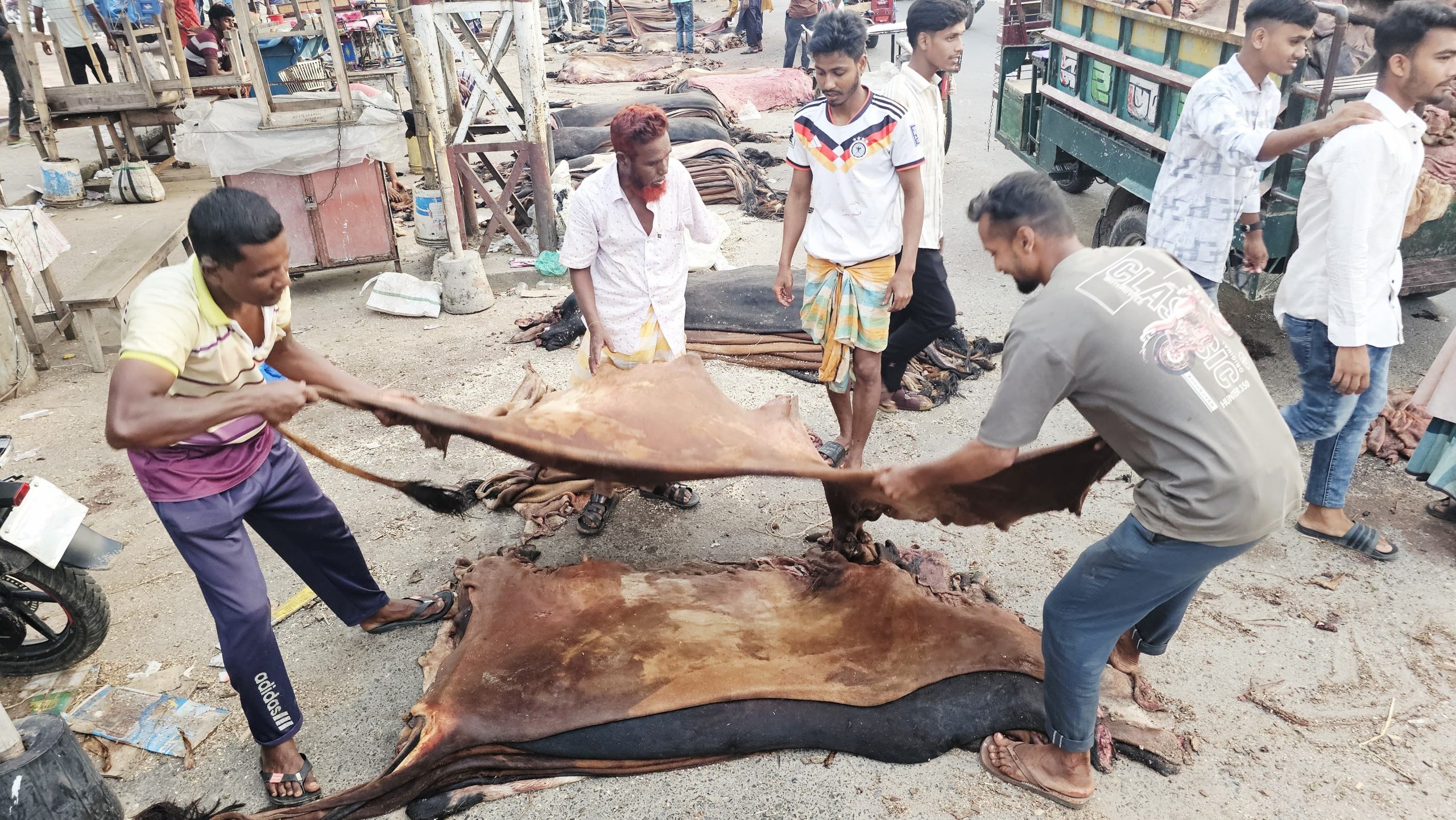 দুপচাঁচিয়ায় কোরবানির পশুর চামড়ার বাজারে ধস, নামমাত্র দামে বিক্রি