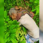 দুপচাঁচিয়ায়ার তালোড়ায় বৃদ্ধের লাশ উদ্ধার