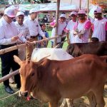 রুহিয়া প্রান্তিক খামারিদের উন্নত জাতের প্রদর্শনী প্রতিযোগিতা।