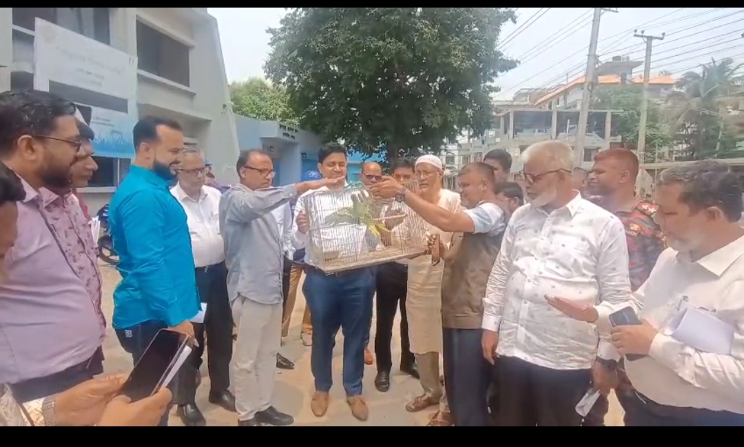 দুপচাঁচিয়ায় উদ্ধারকৃত দুই টিয়াপাখি প্রাকৃতিক পরিবেশে অবমুক্ত