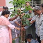 সলঙ্গার আঙ্গারু বালিকা বিদ্যালয়ে বৃক্ষরোপণ
