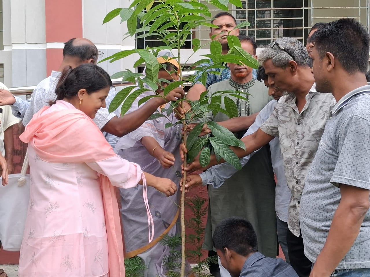 সলঙ্গার আঙ্গারু বালিকা বিদ্যালয়ে বৃক্ষরোপণ