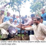 দুপচাঁচিয়া পাইলট বালিকা উচ্চ বিদ্যালয়ে বৃক্ষরোপণ কর্মসূচি পালিত