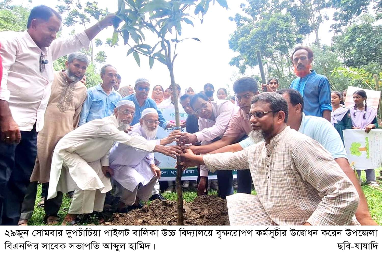 দুপচাঁচিয়া পাইলট বালিকা উচ্চ বিদ্যালয়ে বৃক্ষরোপণ কর্মসূচি পালিত