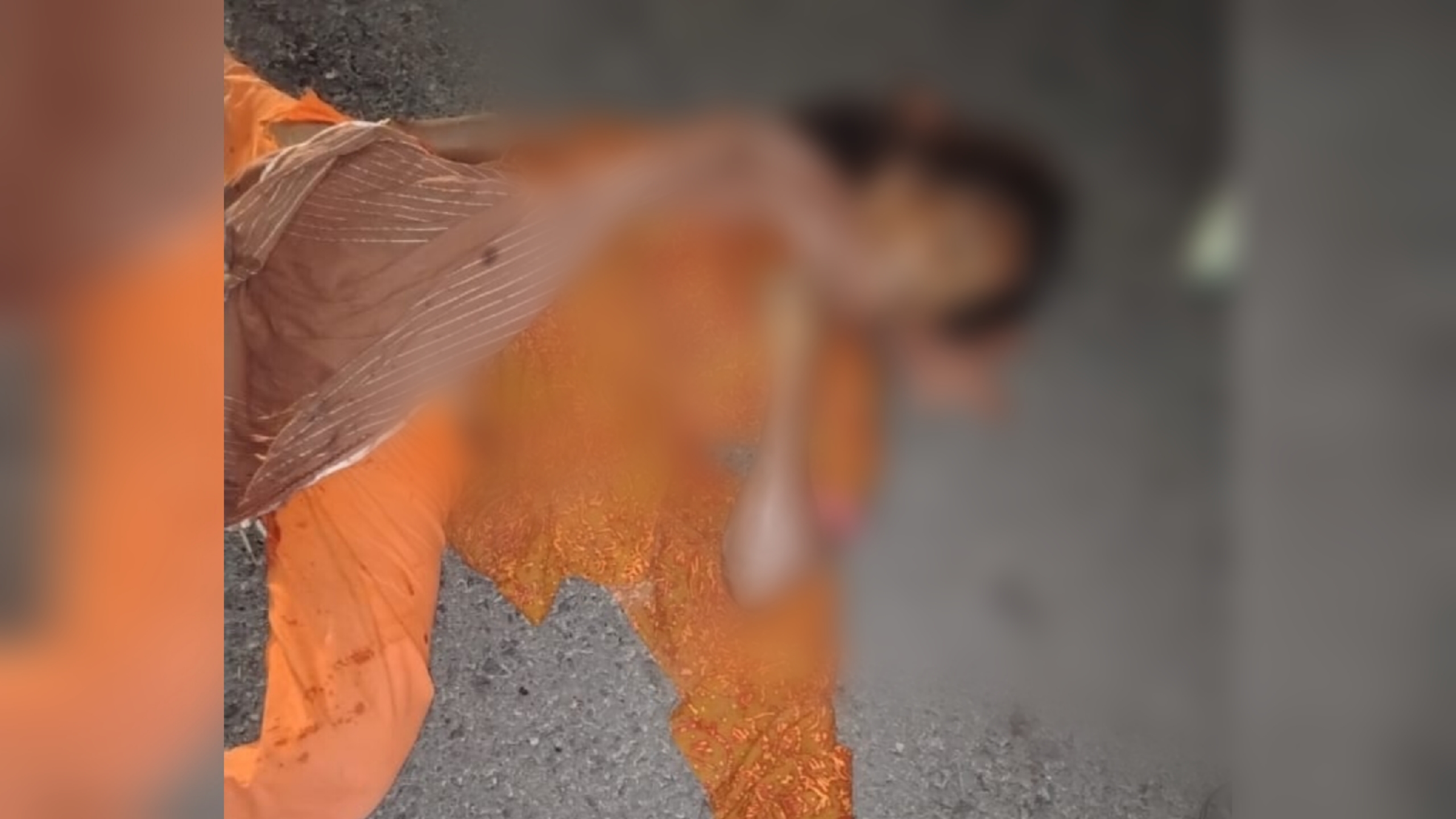 বগুড়ার শেরপুরে ট্রলির ধাক্কায় প্রাণ গেল বৃদ্ধার