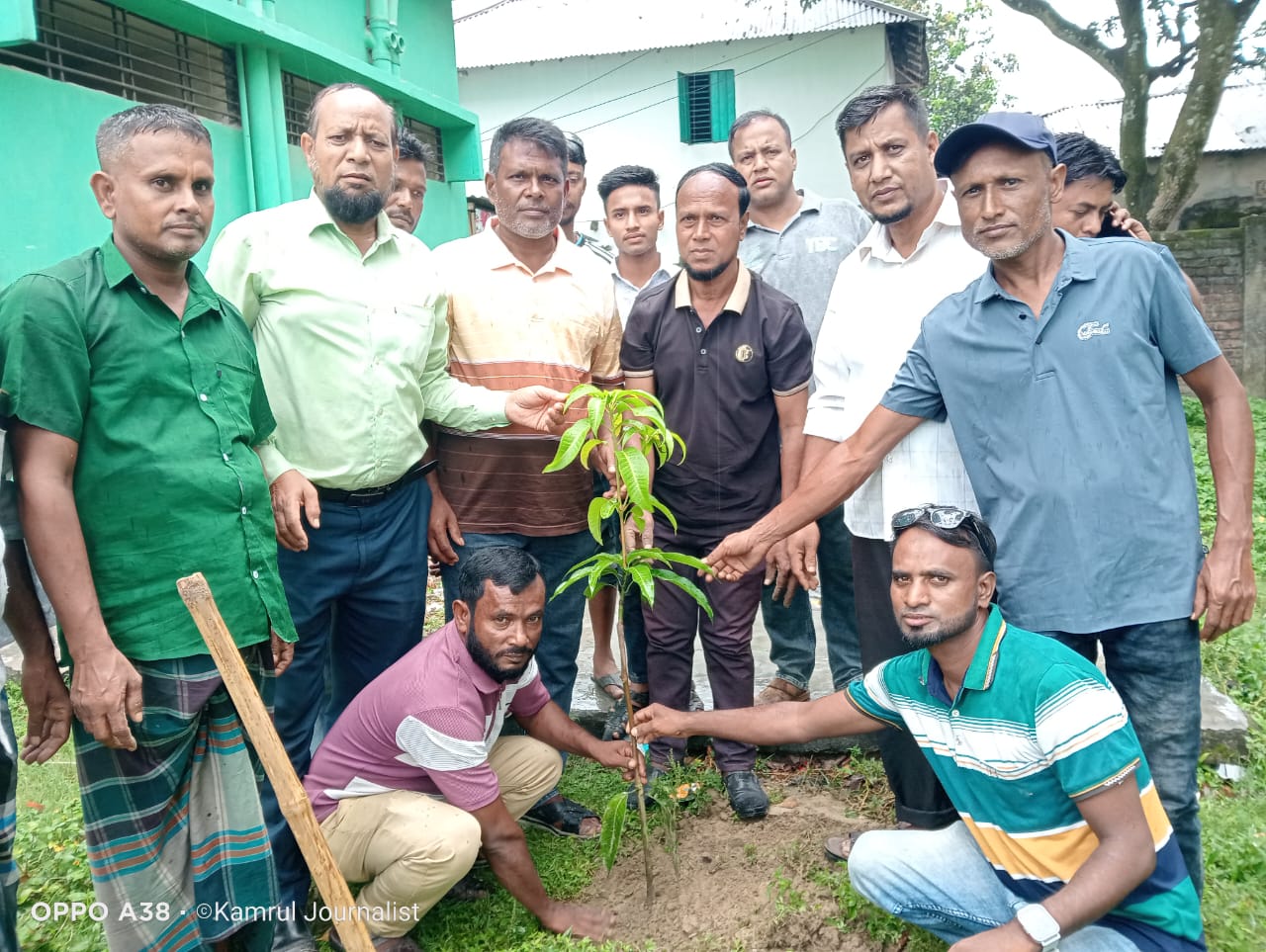 বিএনপি নেতা আবু সাঈদের ব্যতিক্রমী উদ্যোগ, বিদ্যালয়ে বিদ্যালয়ে বৃক্ষরোপণ ও ফুটবল বিতরণ